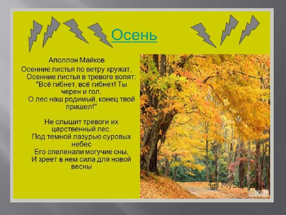 Анализ стихотворения майкова осень.