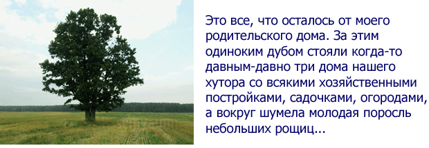 Анализ стихотворения одинокий дуб фета