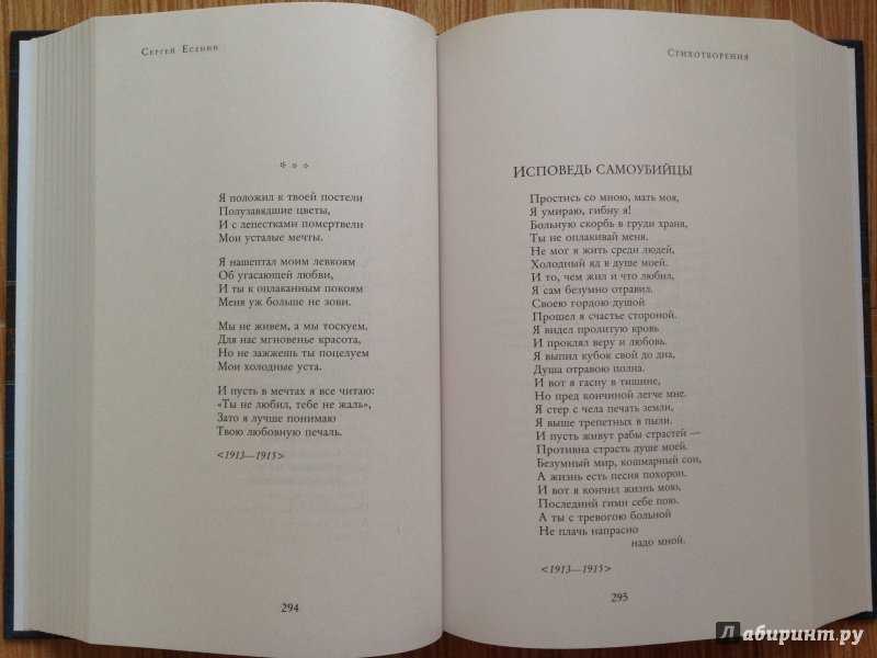 Исповедь самоубийцы. автор с.есенин » страшные истории