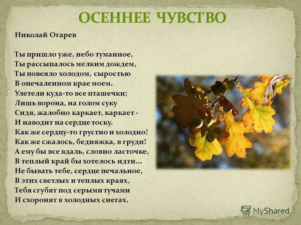 Пример анализа стихотворения. план анализа стихотворения: тема, сюжет и композиция, основная мысль :: syl.ru