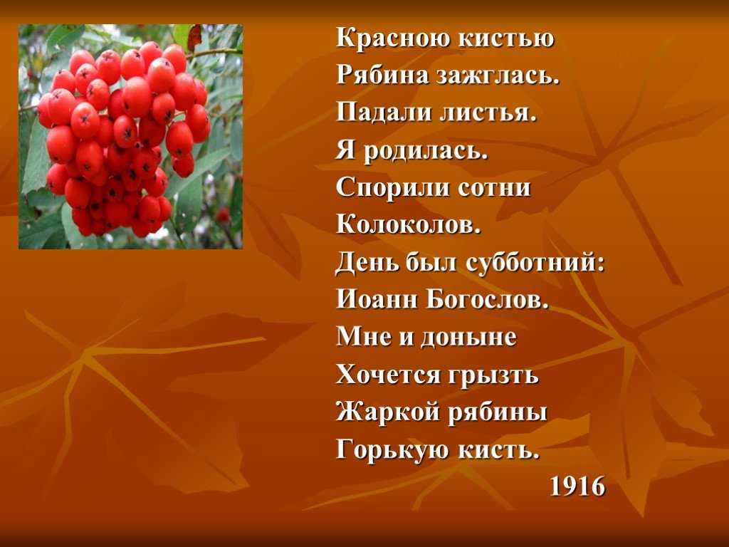Марина цветаева 📜 красною кистью рябина зажглась - читать и слушать стих +заказать анализ