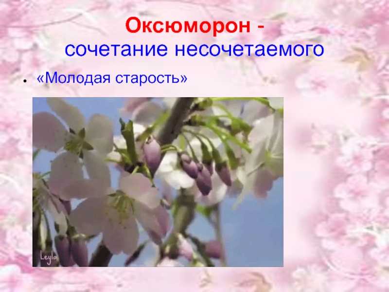 Антоновские яблоки. краткое содержание рассказа бунина
