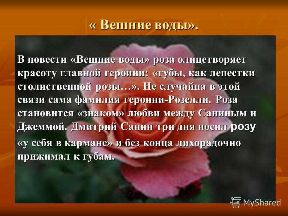 «вешние воды» краткое содержание повести тургенева – читать пересказ онлайн