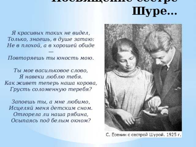🐯 ах, как много на свете кошек