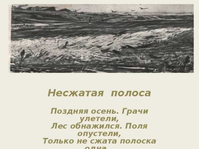 😢 несжатая полоса