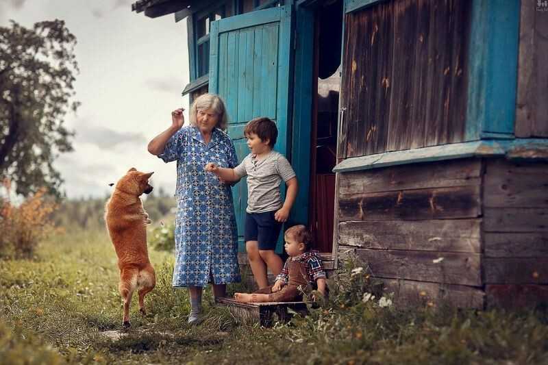Сочинение на тему лето в деревне у бабушки. как я провёл лето в настоящей деревне (школьные сочинения) как я однажды отдыхал в деревне