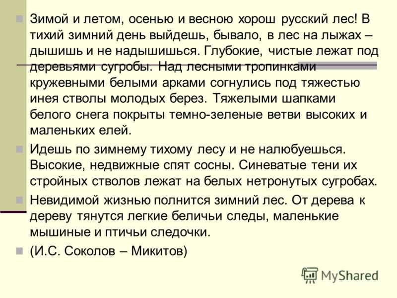 Чем заняться в походе? интересные идеи развлечений на природе
