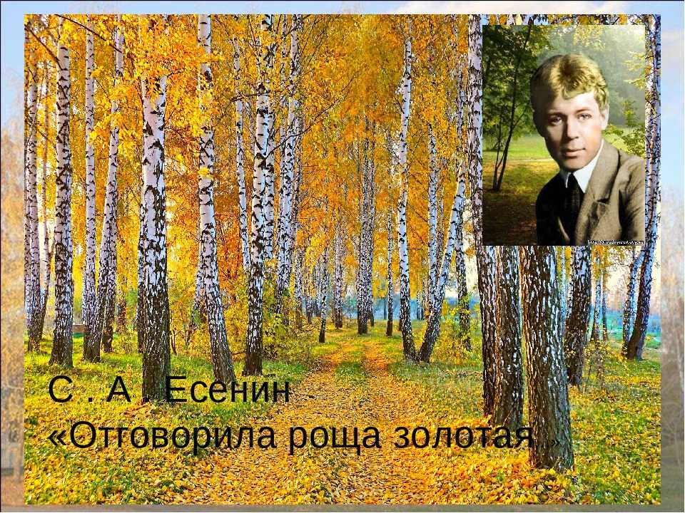 Лучшие стихи сергея есенина | стихи | дзен