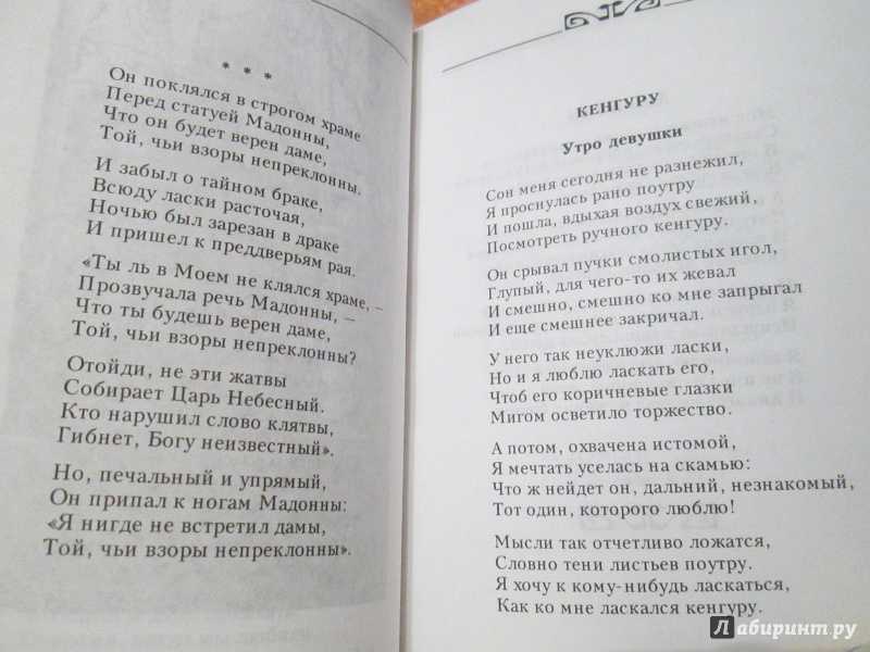 Стихотворение "кенгуру" гумилев николай степанович. анализ стихотворения гумилева «кенгуру. «кенгуру» н. гумилев