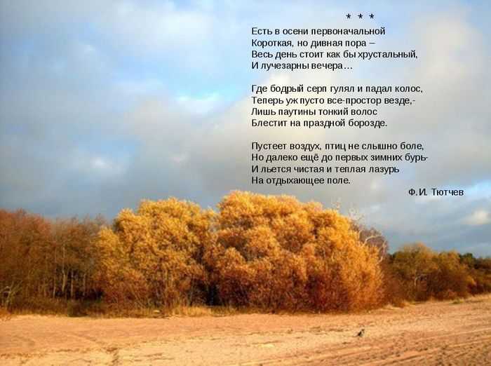 Анализ стихотворения а. блока «осенний день» ❤️ - блок